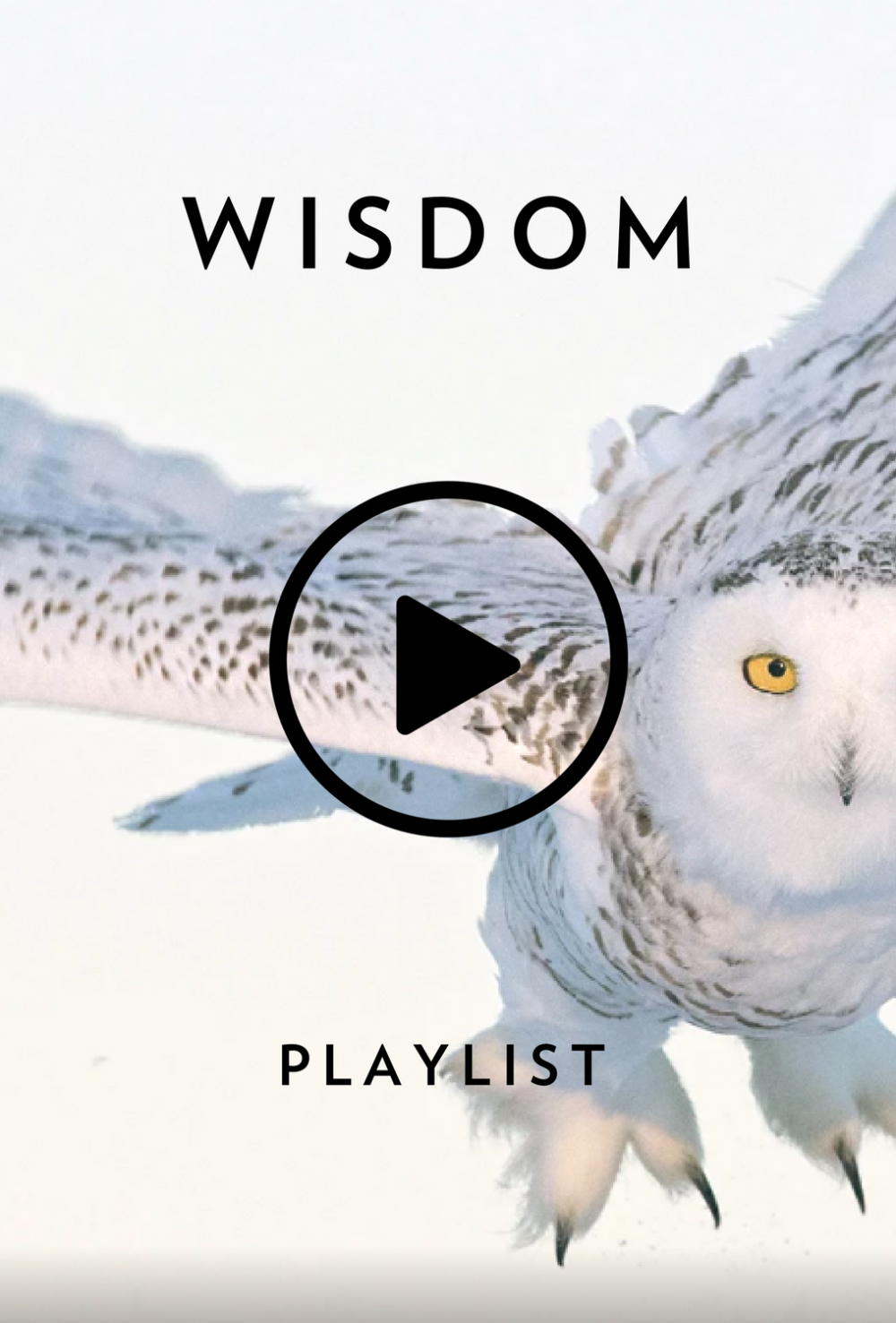 Wisdom playlist for wellness subscription box merkaela